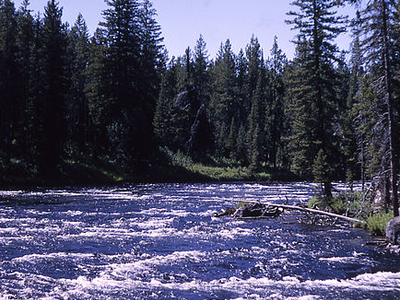 Bechler River
