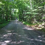 Beech Hill