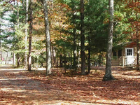 Belleplain State Forest