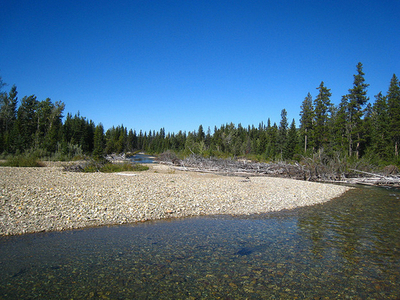 Belly River Belly River