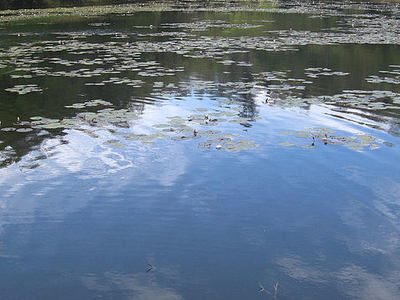 Berijam Lake