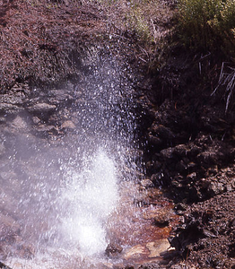 Big Alcove Spring