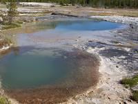 Black Opal Pool Black Opal Pool