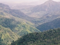 Black River Gorges National Park