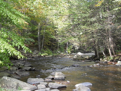 Black River