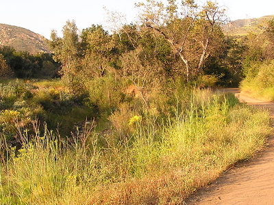 Black Star Canyon