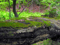 Blue Knob State Park Blue Knob State Park