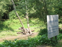 Blue River