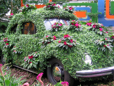Montreal Botanical Gardens