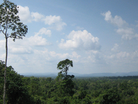 Botum Sakor National Park