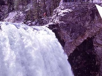 Brink of the Lower Falls Brink of the Lower Falls