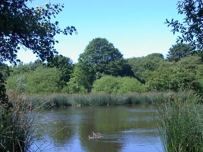Essington