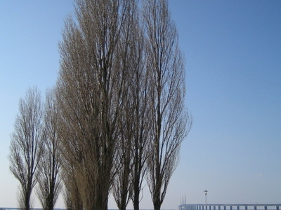 Bunkeflostrand