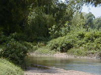 Burhi Gandak River