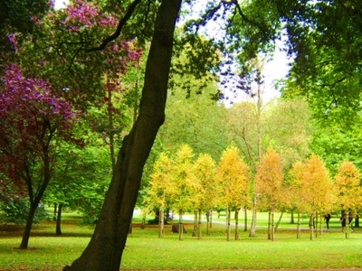 Bute Park
