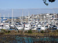 Bangor Marina