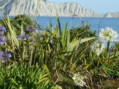 Bare Island