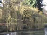National Botanic Gardens National Botanic Gardens