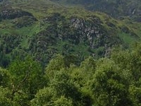 Ben Venue
