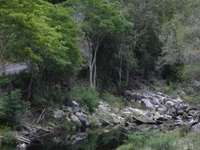 Bloukrans Pass