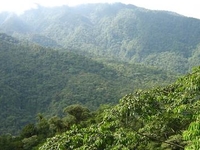 Braulio Carrillo National Park Braulio Carrillo National Park