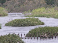 Bontebok National Park