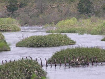 Bontebok National Park