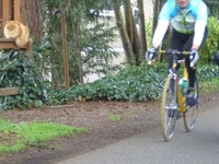 Burke Gilman Trail