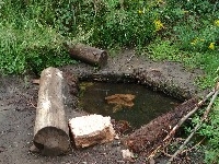 Cabin Springs