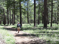 Cape Final Trail Cape Final Trail