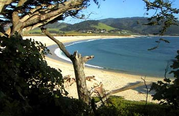 Carmel River