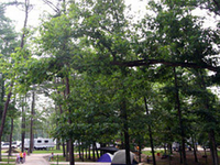 Carter Caves State Resort Park