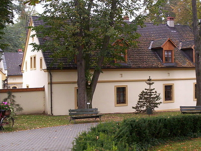 Castle of Kamień Śląski