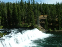 Yellowstone Adventure - Geysers and Grizzlies 10 Days