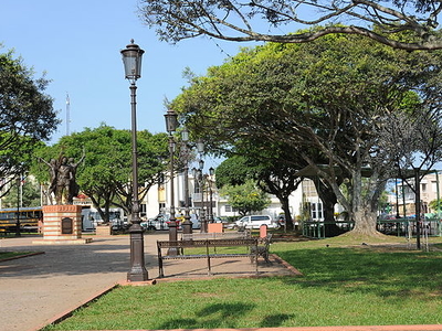 Dorado