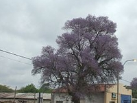 Cerrito