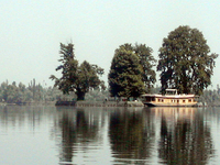 Char Chinar