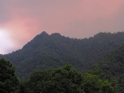Chimney Tops