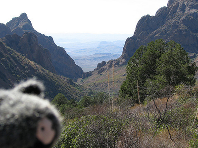 Chisos Basin Loop Trail Chisos Basin Loop Trail