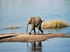 Botswana