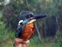 Chu Yang Sin National Park