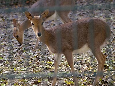 Chyulu Hills National Park