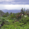 Puerto Rico