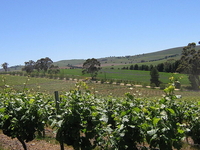 Clare Valley Clare Valley