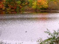 Hamden