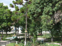 Concepcion Concepcion