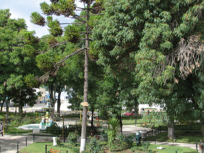 Concepcion