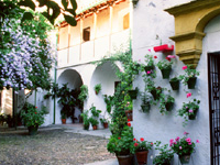 Convent of Santa Cruz
