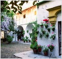 Convent of Santa Cruz