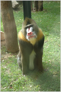 Cordoba Zoo